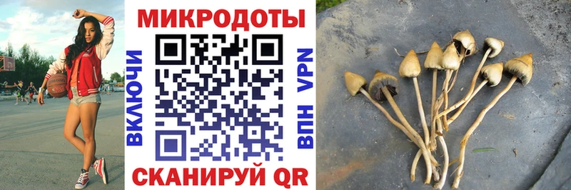 Галлюциногенные грибы Cubensis Абдулино